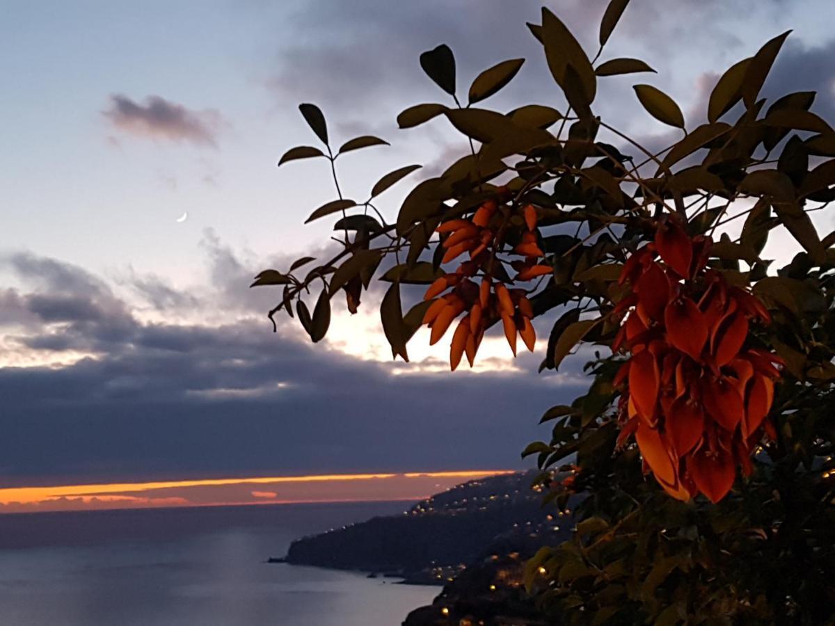 Casa Atlantico Dachterrassengeschoss Lägenhet Ribeira Brava Exteriör bild